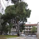Qui infatti � presente un piccolo appezzamento di terreno circoscritto da un basso muretto in cemento che racchiude il nostro monumentale...